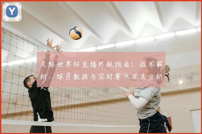 足球世界杯直播终极指南：战术解析、球员数据与实时赛况深度分析