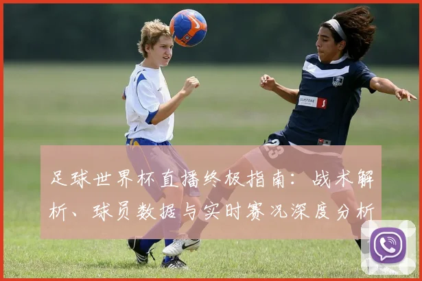 足球世界杯直播终极指南:战术解析、球员数据与实时赛况深度分析